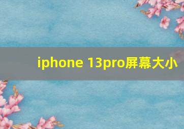 iphone 13pro屏幕大小